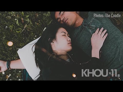 download lagu mp3 mp4 Coodle, download lagu Coodle gratis, unduh video klip Coodle