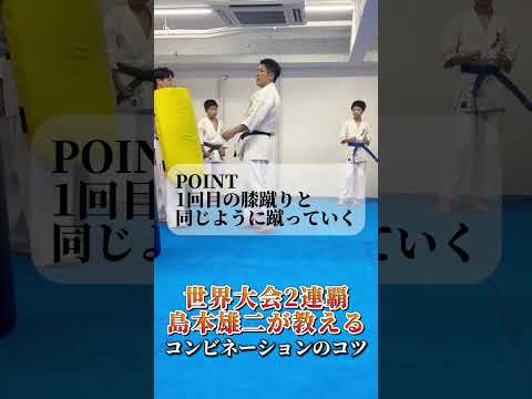 【保存推奨】世界王者・島本雄二が教える「当てる」コンビネーションの極意  #karate #karatedo #karatejapan #kyokushin #prokyokushin #コツ #コツ