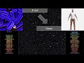 Evolution Bacteria To Man