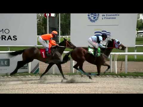 220204 c02 - SURPRIZ - HIPODROMO LAS PIEDRAS