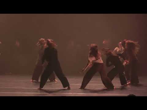 DANSVLOER 2025 - Dries Verstreepen