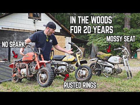 We Bought 8 CHEAP ABANDONED Honda Mini Bikes... Can We Make Them Run & Ride?