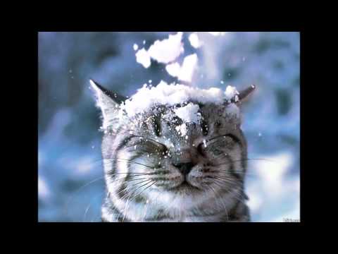 Kay Cola ft.Rayven Justice - Runnin