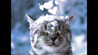 Kay Cola ft.Rayven Justice - Runnin