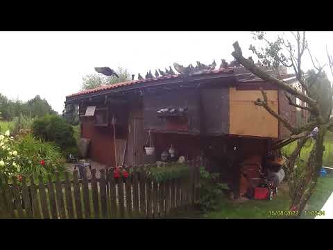 Bezproblemowy 2 trening młodych 2022