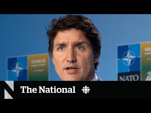 U.S. senators call out Trudeau for not meeting NATO targets
