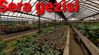 Ankara nin en büyük serası sera gezisi salon cicekleri