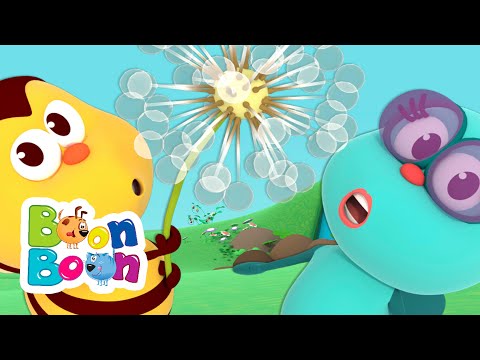 Cântec despre simțuri - Cântece educative pentru copii | Cântece BoonBoon