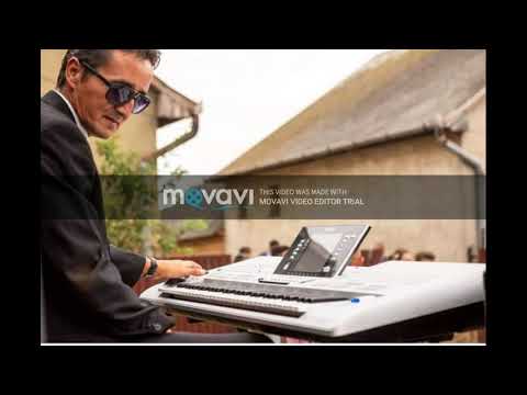 lévai tibor yamaha psr s 970 The Shadows - Theme for young Lovers