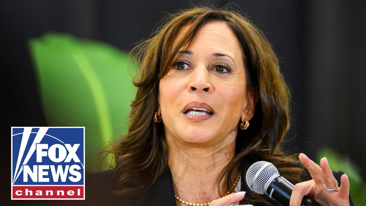 Democrats are playing PARTY POLITICS: Podcast host