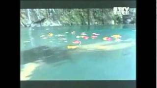 [問卦] 新十二生肖484抄