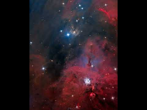 South of Orion #shorts