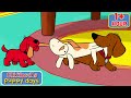 Sharing Lessons For Kids Season 1 Full Episodes Clifford S Puppy Days