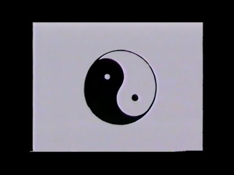 Understanding T'AI  CHI CH'UAN  with Gerda Geddes