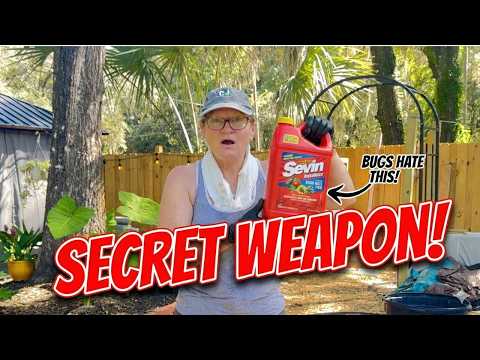 The "Stink Bug" Invasion Destroyed Everything! 😱 (Fighting Back with THIS)