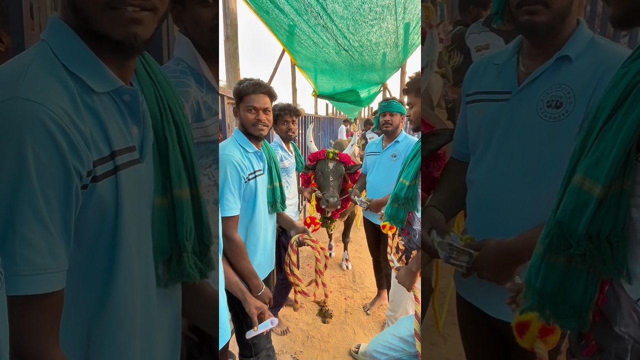 ⚡🦁10,000 அதிபதி agaram jallikattu peravai kallakurichi jallikattu athipathi