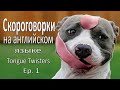 Скороговорки на английском языке с переводом Ep. 1 