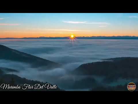 Tristeza al morir mix en vivo con Marimba Flor Del Valle U.S.A