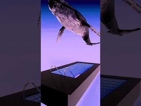 Human & cow vs  Whale🤯😨