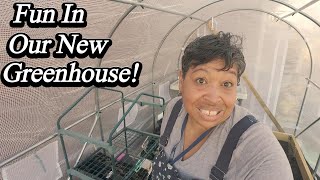 DIY Greenhouse Build!