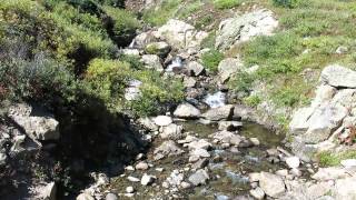bubbling brook in ASPEN CO