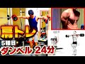 【肩トレ】ダンベルだけで肩全体がパンパンになる分割法4日目【三角筋】