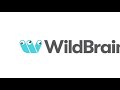 Wildbrain Studios Logo Movie Variant 2021 Present FANMADE