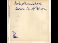 babyshambles- Up the morning