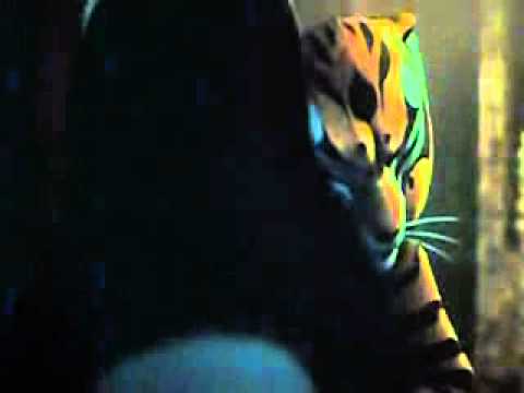 Master Tigress Tribute- Forgiven