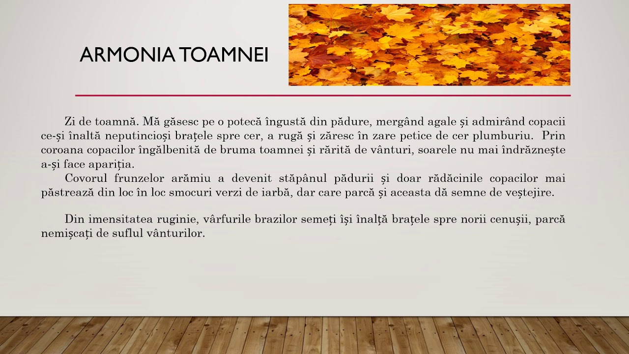 Watch Compunere Despre Toamna Cu Expresii Frumoase Now Compuneri libere descriptive - Armonia Toamnei