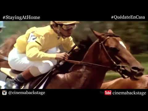 CINEMA BACKSTAGE - MIAMI VICE