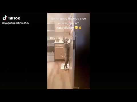 Eu lhe peguei no Flagra...!