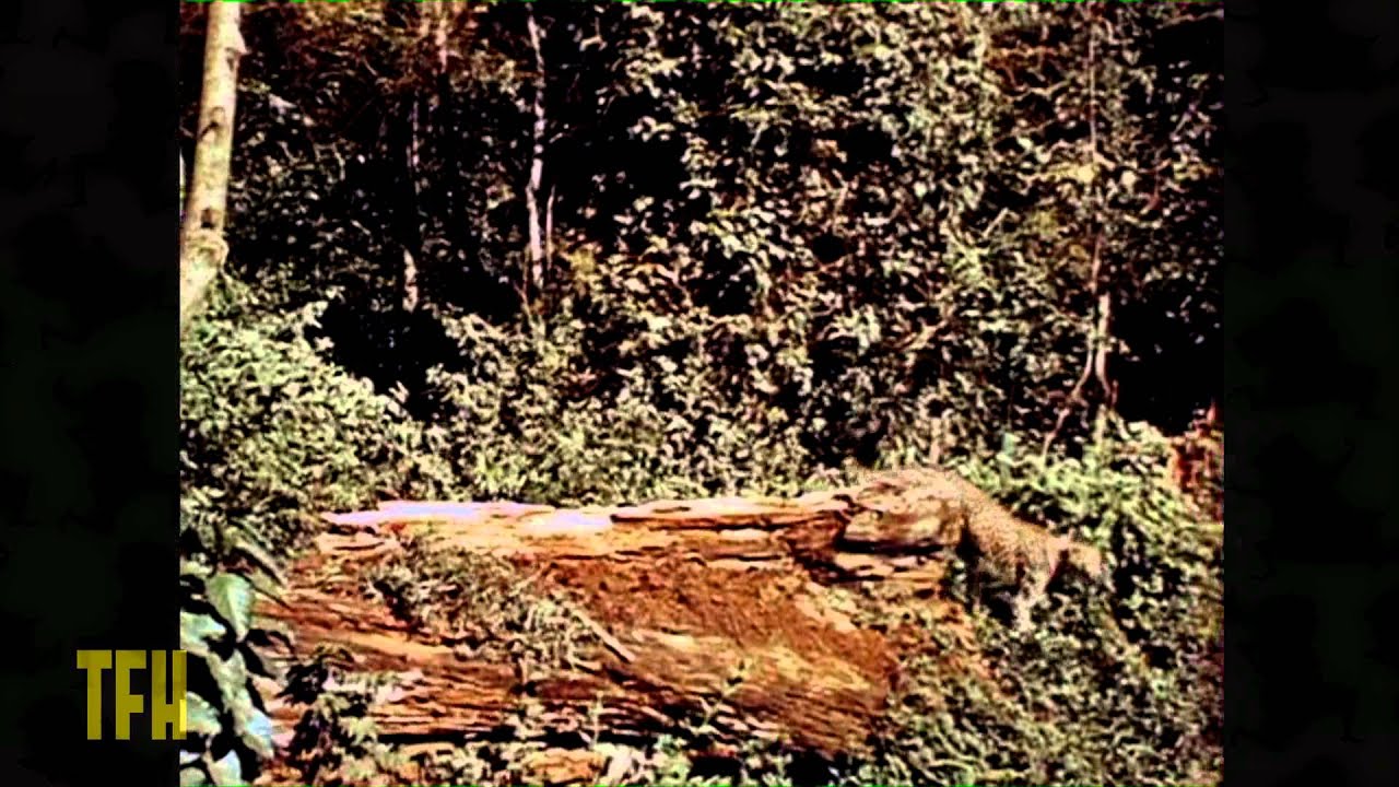 John Landis on KING SOLOMON'S MINES