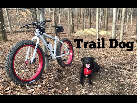 Marek The "Trail Dog"