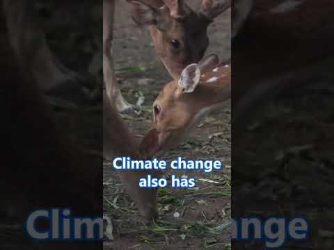 What is Climate-change?🌍🌡️