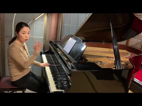 サギヌス・ジェフロイについて詳しく解説