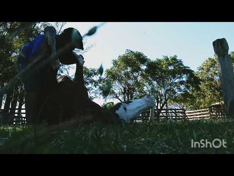 amanse indio🐴🛐🙏🏽