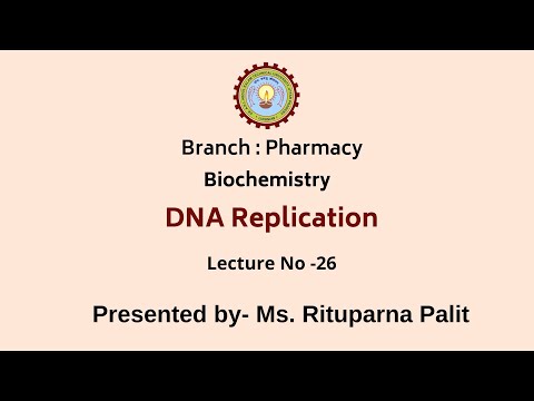DNA Replication
