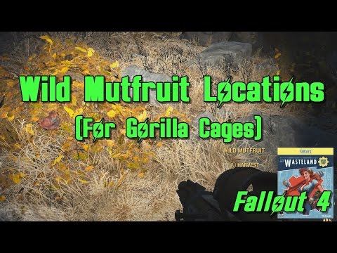 Wild Mutfruit Locations (for Gorilla Cages) - Fallout 4 Wasteland Workshop DLC