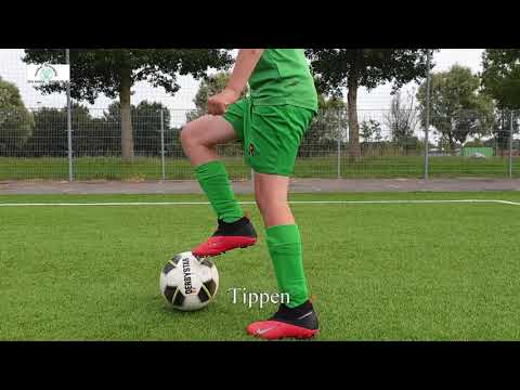 Niveau 1 basisvaardigheden