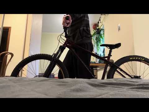 NS Bikes Eccentric Cromo 29 - 2021 bike