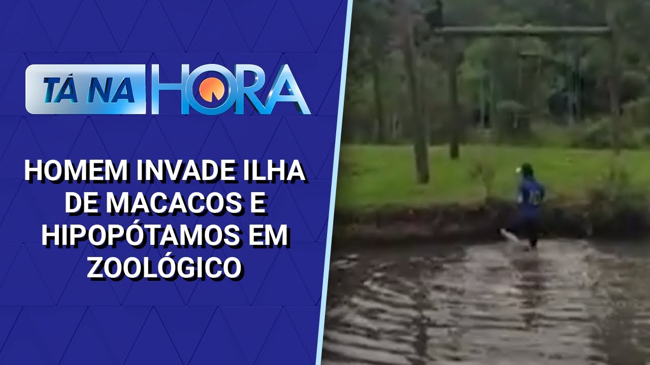 Homem invade ilha de macacos e hipopótamos em zoológico no Paraná | Tá na Hora (22/11/24)