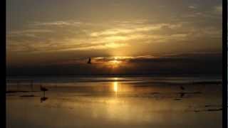 RECLAIM - Ólafur Arnalds ft. Arnór Dan