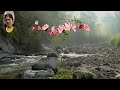 Thendral Urangiya Tamil Karaoke For Male Singers Resung By VANISRIDASAN