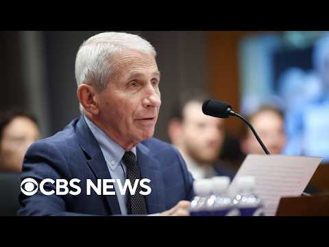 Watch Live: Senate committee holds Fauci contempt of Congress vote after  COVID hearing | CBS News