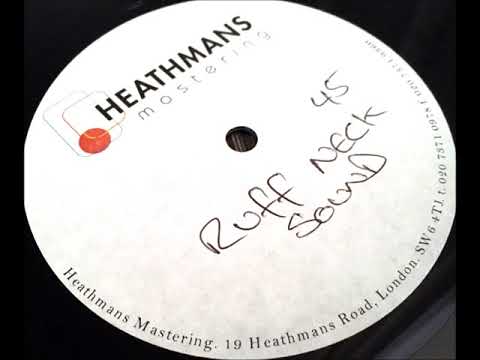 Artful Dodger Feat: Sevi G & Richie Dan ‎– Ruff Neck Sound