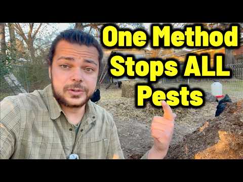 Garden Pests: A Simple Ecosystem Balancing Method (Q&A)