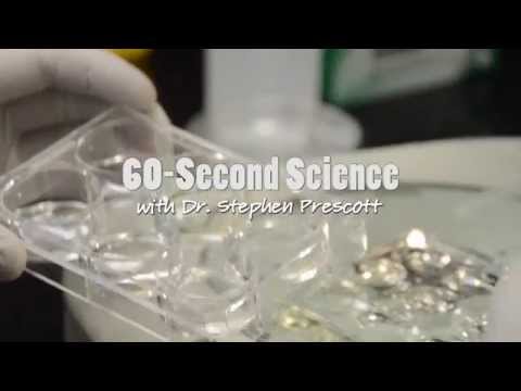 Allergies | 60-Second Science | OMRF