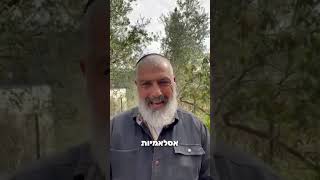האם טראמפ יורד מהעץ והולך לסיום המלחמה?
