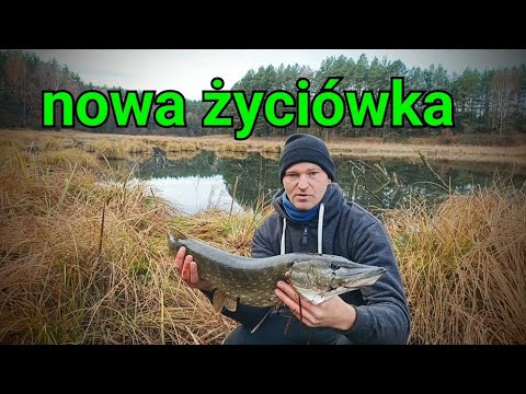 I finally managed to catch a life-changing pike, it was huge 😁 #fish